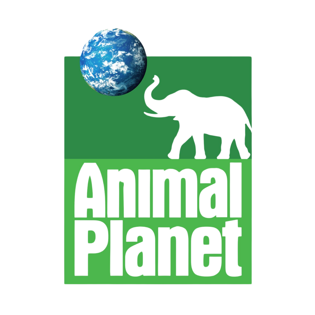 Animal Planet